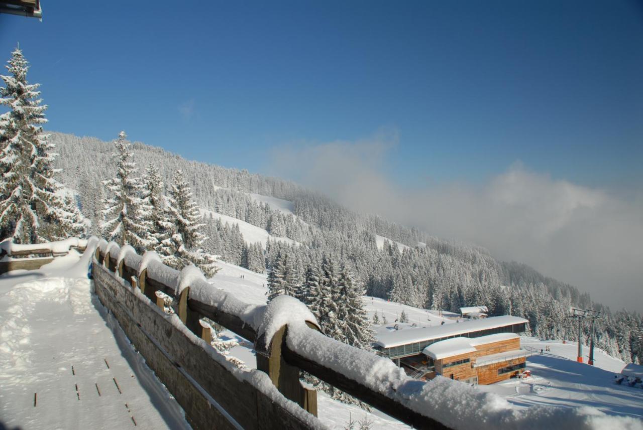 Berggasthof Hoernerhaus ボルシュターラング エクステリア 写真